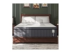 DIGLANT Queen 14" Memory Foam Mattress