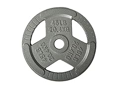 Fitvids Cast Iron Plate Weight Plate, 45lbs (Single)