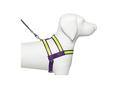 Co-Leash Purple Night Lite Harness