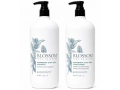 Mint & Tea Tree Shampoo + Conditioner