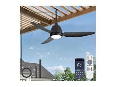 Fanbulous 42" Outdoor Ceiling Fan