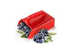 banapoy CON-28 Blueberry Picker