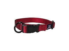 Hamilton Adjustable Nylon Dog Collar, Small, Red