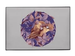 "Bird Watcher" Indoor/Outdoor Mat