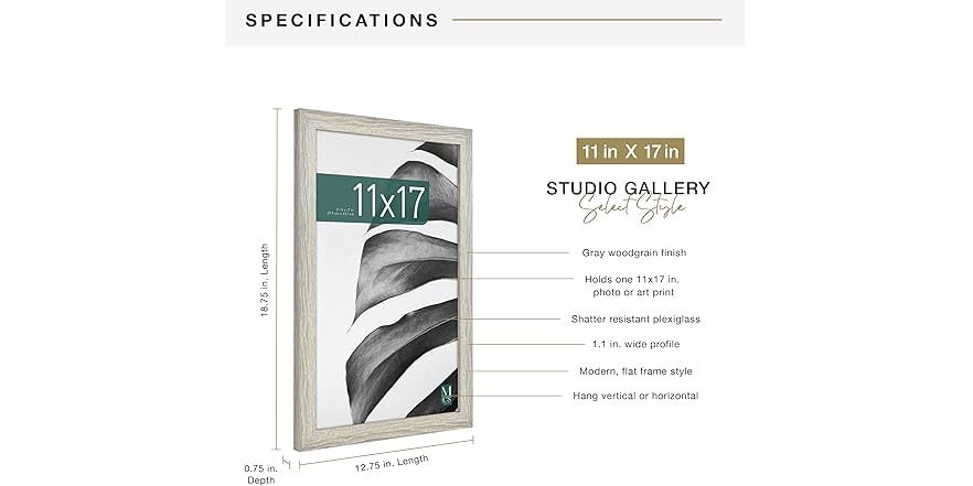 MCS Studio Gallery Frame 11x17