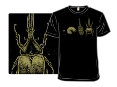 Beetle Life Cycle