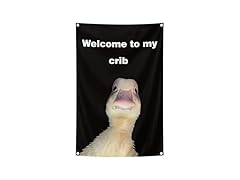 Generic Welcome to My Crib Flag