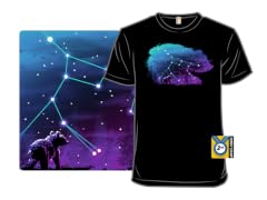 Cosmic Bear