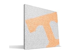 Tennessee Volunteers