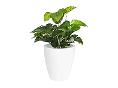 Elly Décor 12 inch Planter for Garden