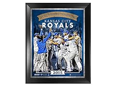 World Series Champions 16x20 Team Collage