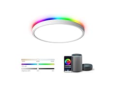 TALOYA Smart Ceiling Light Fixture