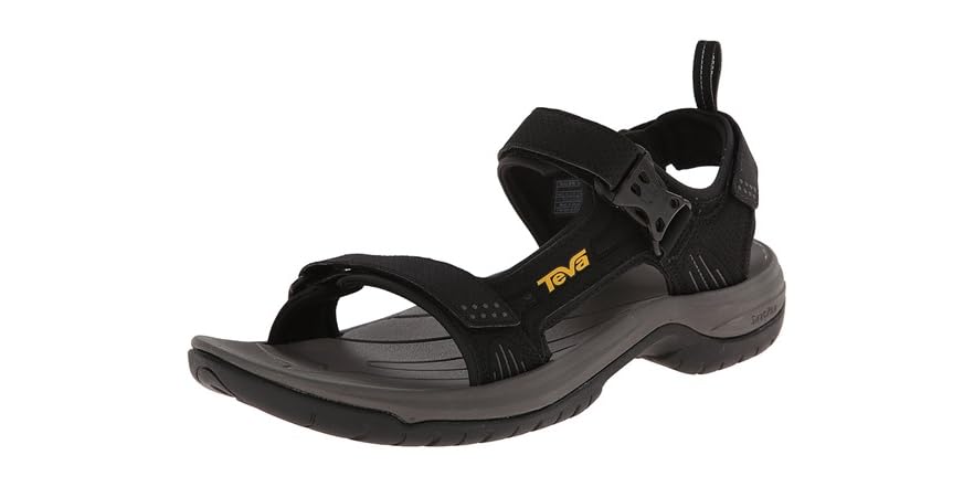 teva holliway