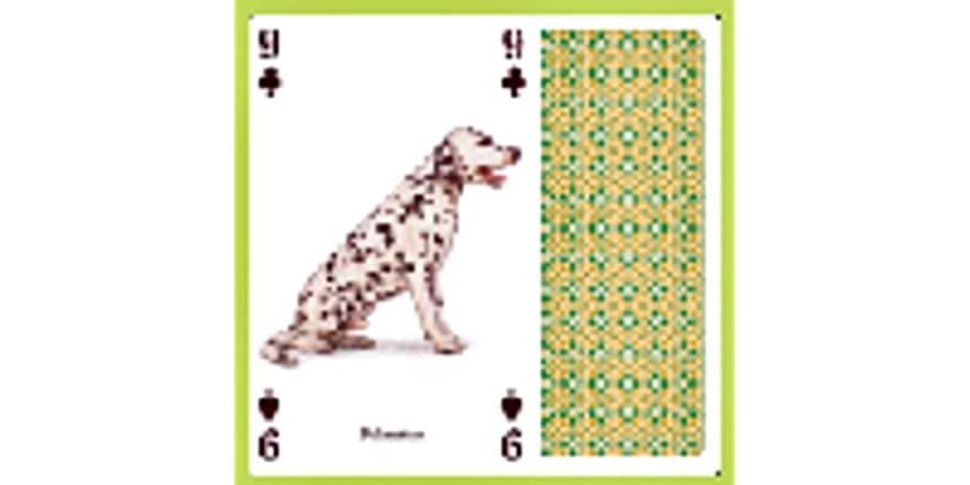 Heritage Playing Cards - Animals Of North America Educational Card Deck With Linen Finish