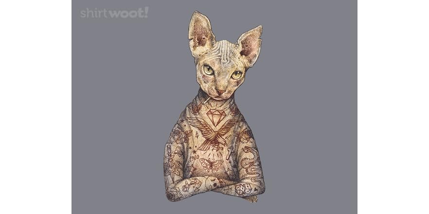 sphynx toes