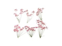 Ximkee Natural Real Pressed Dried Flower