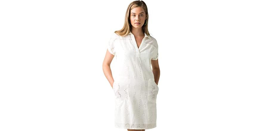 ladyland dress prana