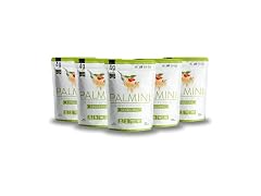 6PK Palmini Linguine Hearts of Palm Pasta
