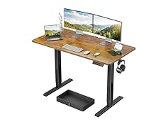 Marsail 48x24 Electric Standing Desk with Drawer