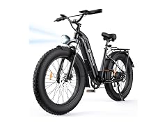 isinwheel Electric Bike 48V Battery 1500W 