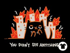 You Didn't See Anything