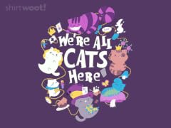 We Are All Cats Here