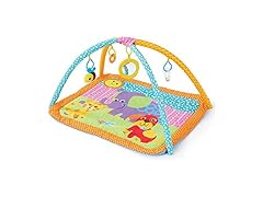 Bruin My 1st Playgym