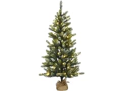 4.5' Trinity Spruce Burlap 100 LED