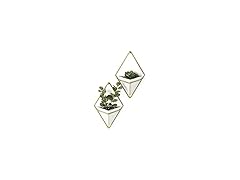 Umbra Trigg Hanging Planter Wall Decor