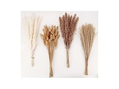 Dried Pampas Grass Decor, 100 Stems