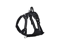 Amazon Basics No-Pull Dog Harness, Soft Padded XL Black
