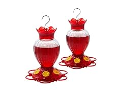 2 Plastic Hummingbird Feeders for Outdoors