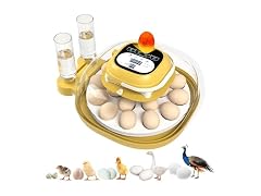 Egg Incubators For Hatching Eggs