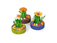 Prevue Pet Products Succulent MiniGarden