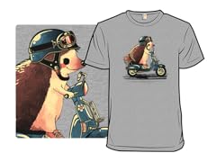 Scooter Hedgehog