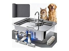 3.17Gal/12L Dog Water Fountain with Silicone