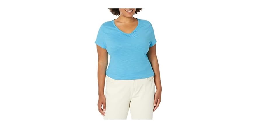 Hanes Womens Slub Cotton VNeck Tee (XL) Blue