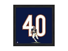 NFL Chicago Bears Player Uniframe