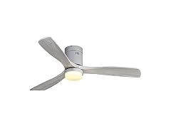CACI Mall Ceiling Fans with Lights