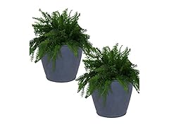 Sunnydaze 24-Inch Anjelica Large Plastic Pot 2pk