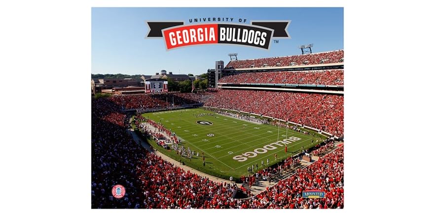 Georgia Bulldogs Stadium 8" x 10"