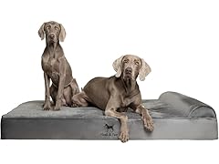 NOAH & PAW Velvet Collection Dog Bed