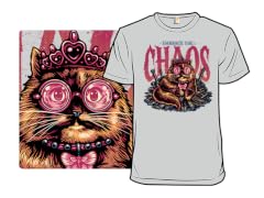 The Cat and the Chaos