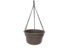 Hanging Basket, 12-Inch, Peppercorn