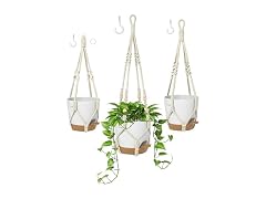 Macrame Plant Hangers Indoor/Outdoor