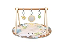 Ingenuity Wonder & Wood Baby Play Mat