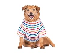 The Dodo Striped Crewneck Sweatshirt for Dogs, L