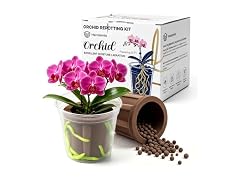 Herrdemia Orchid Mix Soil