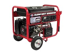 10,000 Watt Gas Powered Generator