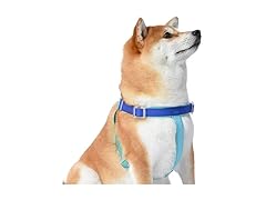 Wags & Wiggles Waterproof PVC Dog Harness